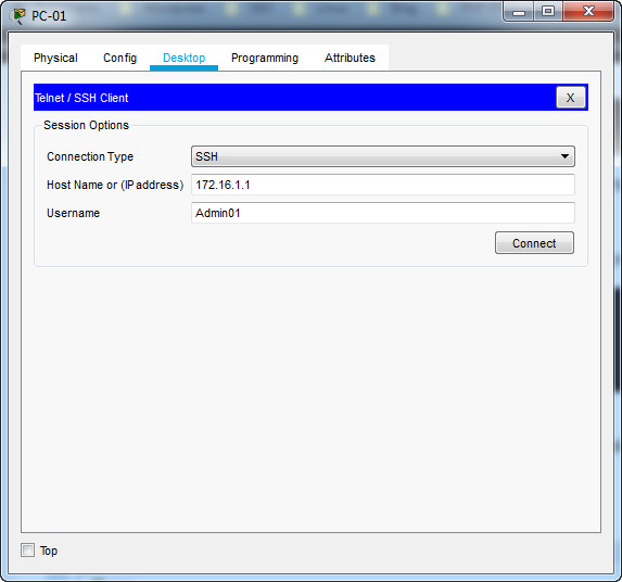 17.7.6 Packet Tracer - Troubleshoot Connectivity Issues (Answers) 12