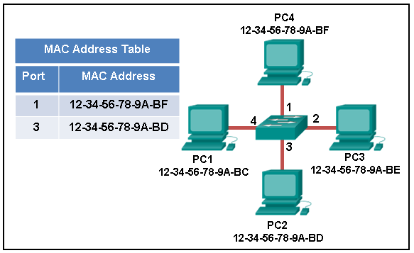 CCNA 1 (Version 7.00) ITNv7 Practice Final Exam Answers 8