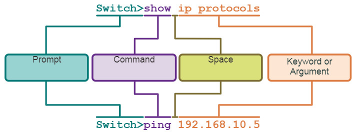 CCNA 1 v7.0 Curriculum: Module 2 - Basic Switch and End Device Configuration 24