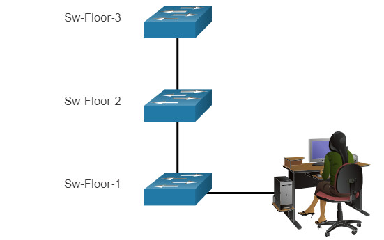 CCNA 1 v7.0 Curriculum: Module 2 - Basic Switch and End Device Configuration 25