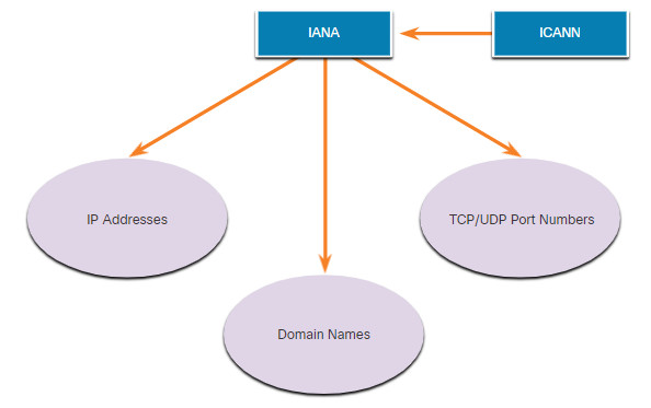 CCNA 1 v7.0 Curriculum: Module 3 - Protocols and Models 62