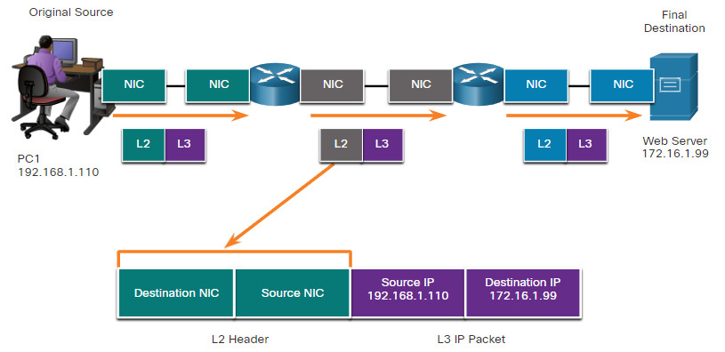 CCNA 1 v7.0 Curriculum: Module 3 - Protocols and Models 77