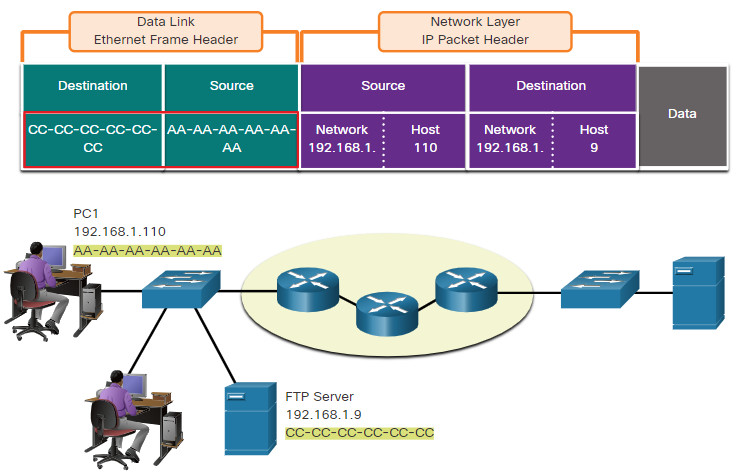 CCNA 1 v7.0 Curriculum: Module 3 - Protocols and Models 73