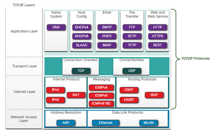 CCNA 1 v7.0 Curriculum: Module 3 - Protocols and Models 57