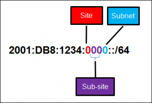 CCNA 1 v7 Modules 11 - 13: IP Addressing Exam Answers Full 7